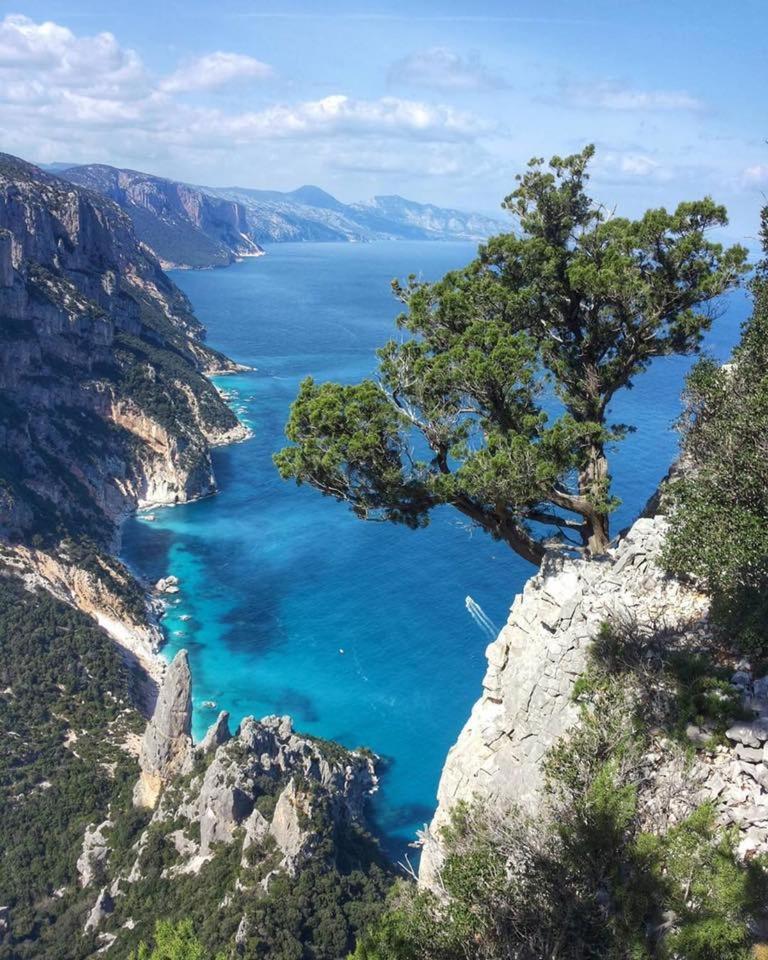 Apartment Altomare Cala Gonone Buitenkant foto